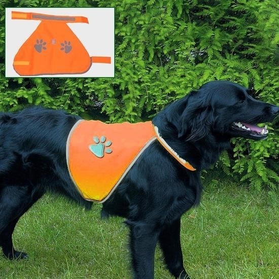 BUFFER® Gece Görüşlü Reflektör Kumaşlı Cırt Cırtlı Köpek Yeleği Large