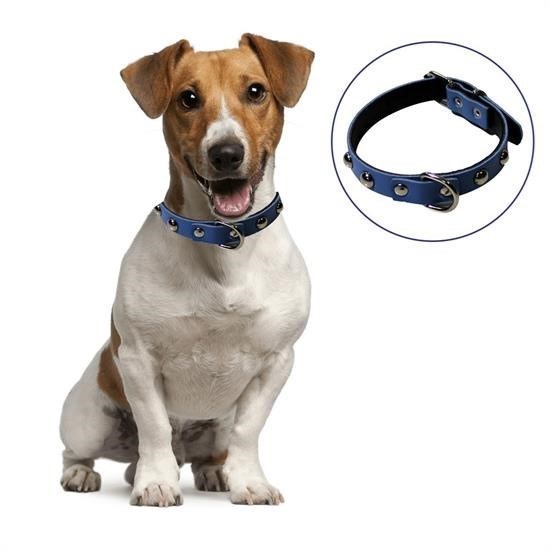 BUFFER® Yumuşak Dokulu Deri Köpek Gezdirme Boyun Tasması (Small)