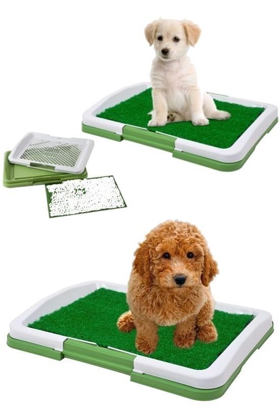 BUFFER® Yavru Köpek Lazımlık