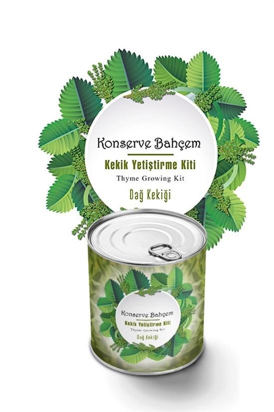 BUFFER® Konserve Bahçem Evde Konservede Kekik Dağ Kekiği Yetiştirme Kiti