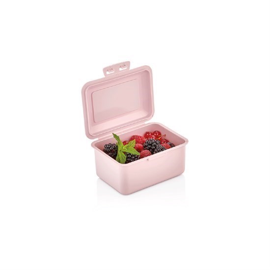 Junior Beslenme Kutusu -11285