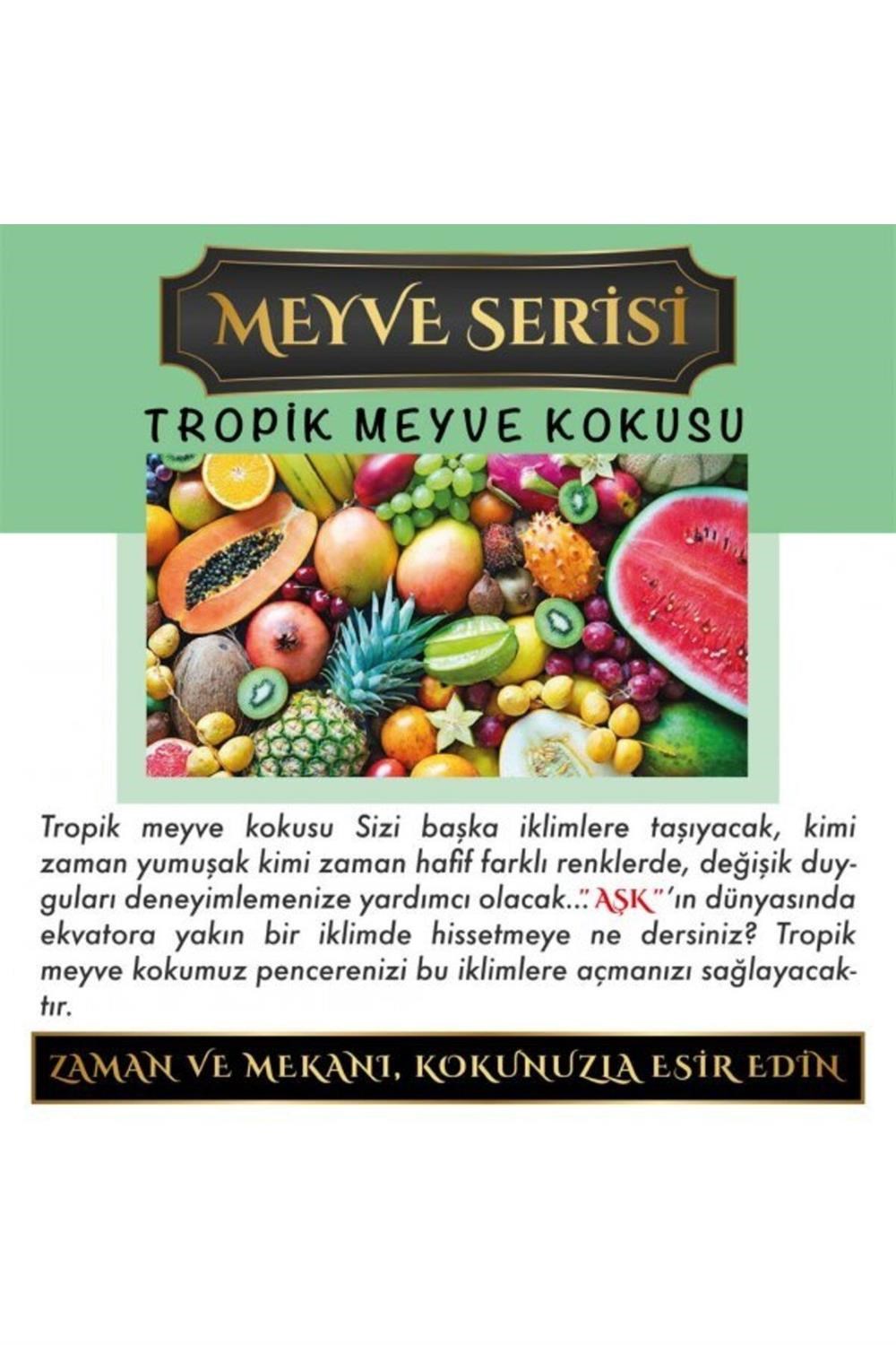 Meczub Meyve Serisi Tropik Meyve 10 Adet 12 ml Elma Şişe Oto Kokusu Araç Araba Parfümü