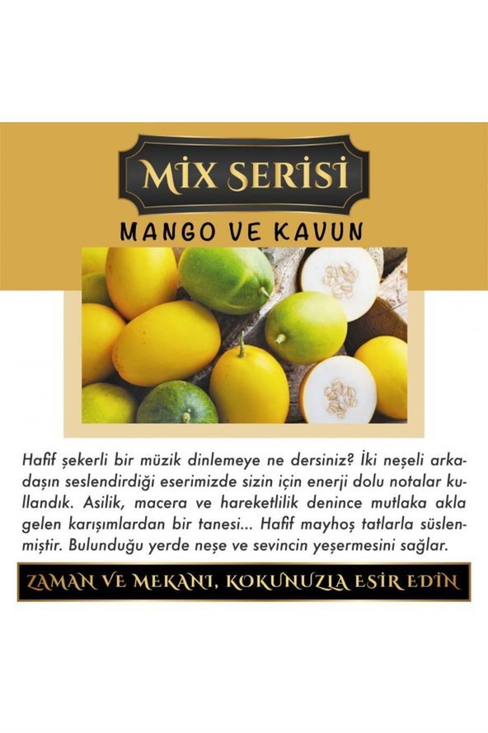 Meczub Mix Serisi Mango & Kavun 12 ml Heybet Şişe Oto Kokusu Araç Araba Parfümü