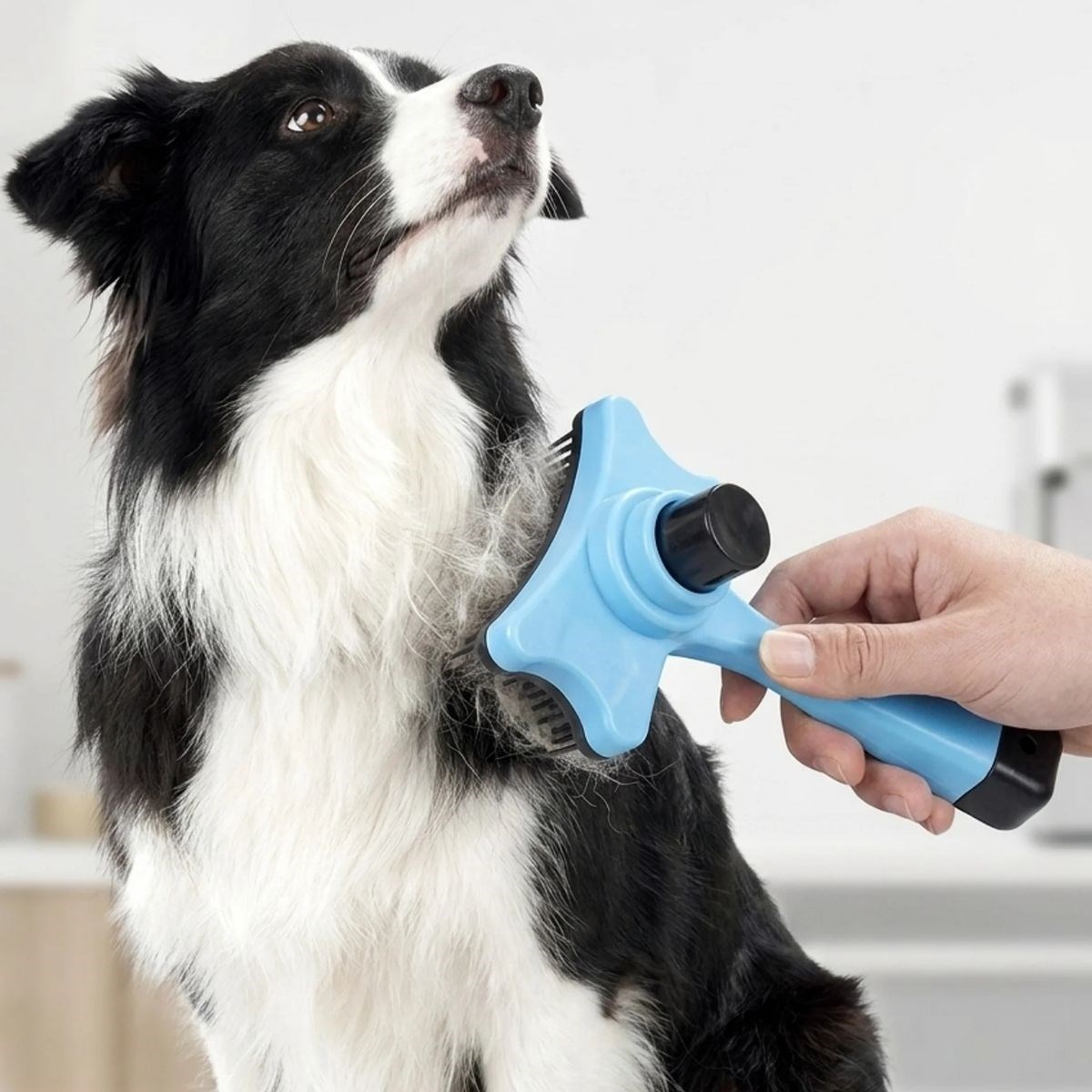 Evcil Hayvan Kedi Köpek Tüy Toplayıcı Otomatik Tuşlu Pet Tarak — Veyo