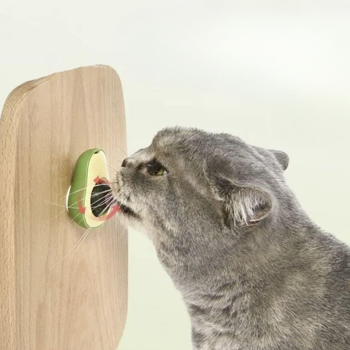 Avokado Model Yapışkanlı Kedi Oyuncağı Yenilebilir Kedi Nanesi Otu — Veyo — görsel 3