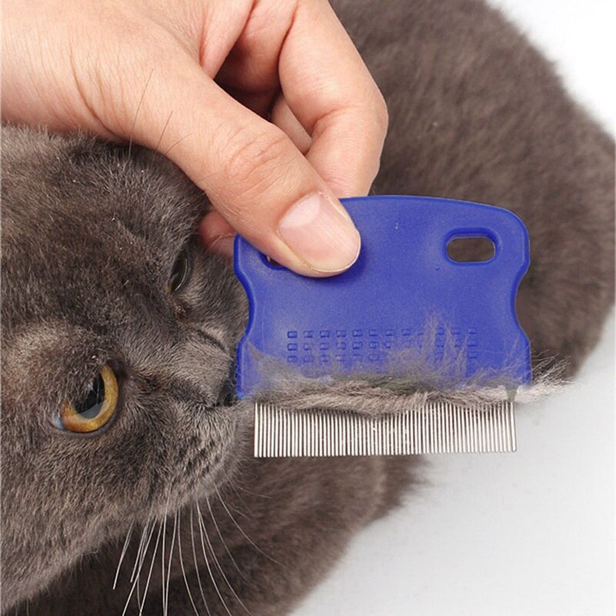 ANKAVERSE Kedi Köpek Pire Tarağı