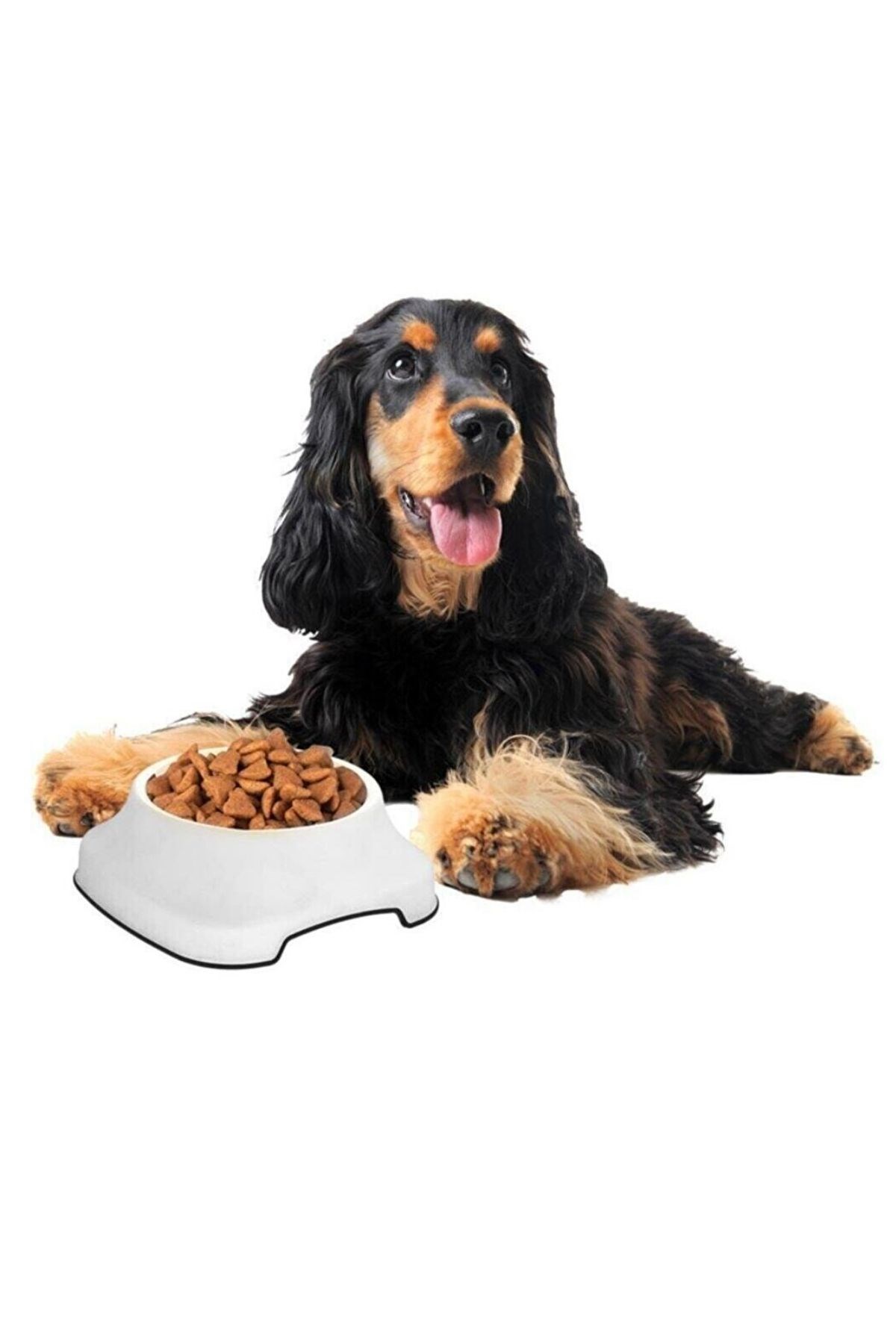 Silikon Kaydırmaz Taban Plastik Kedi ve Köpek Mama ve Su Kabı 2 L — Veyo — görsel 6