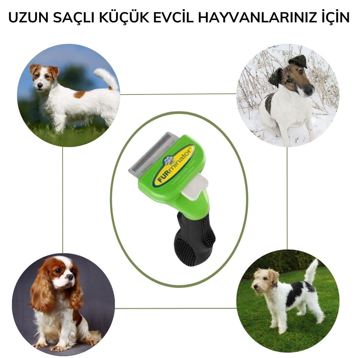 Kedi ve Köpekler İçin Uzun Tüylü Köpek Tarağı Tüy Toplayıcı tarak Small — Veyo — görsel 5