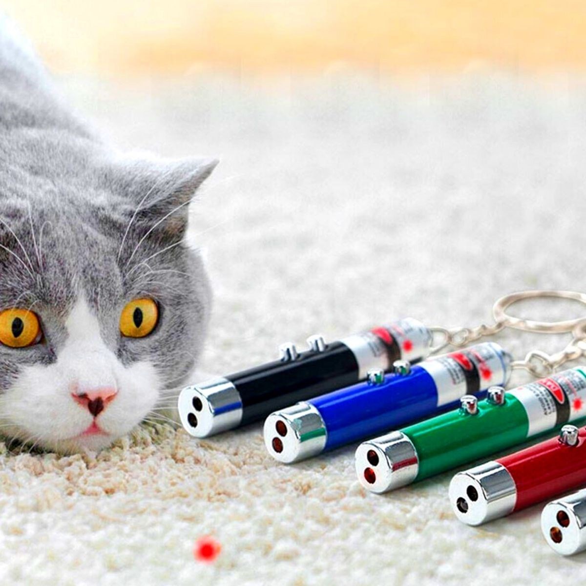 3 Fonksiyonlu Kırmızı Beyaz Işıklı Led Lazer Kedi Köpek Oyuncak Anahtarlık — Veyo