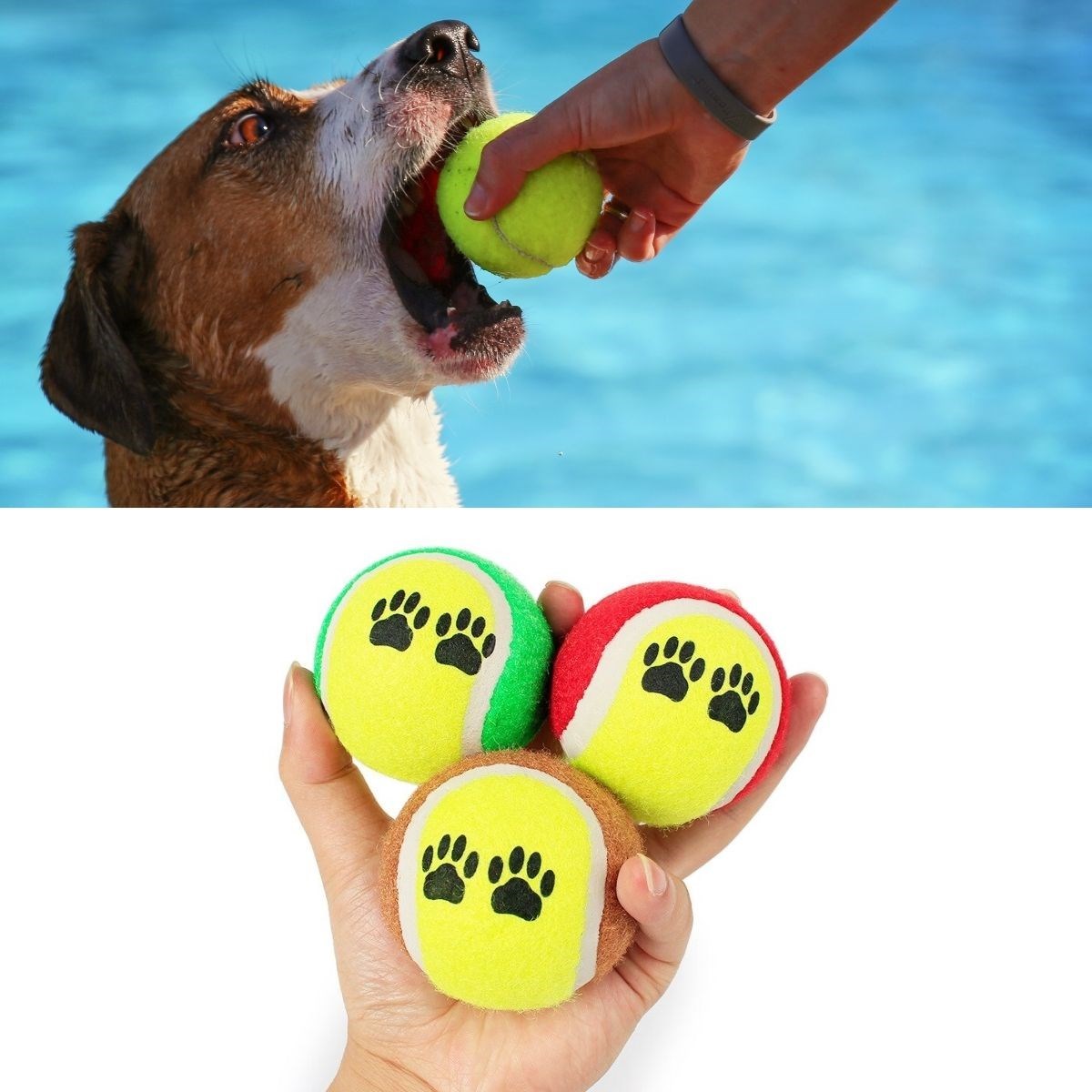 3lü Renkli Desenli Tenis Topu Kedi Köpek Oyuncağı — Veyo — görsel 6