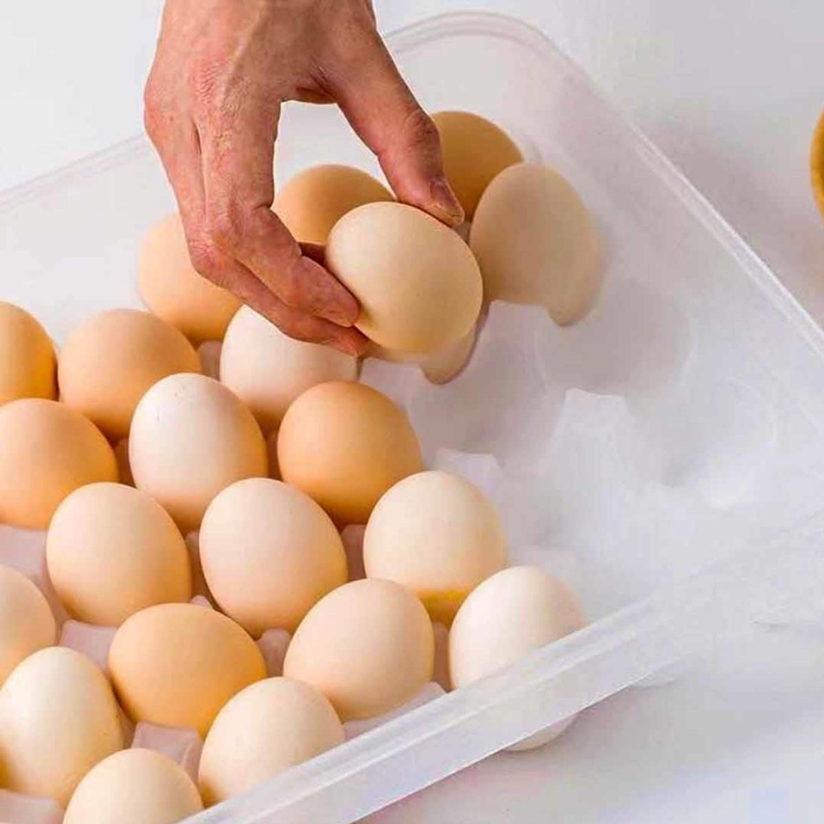 30lu Yumurta Saklama Kabı — Veyo — görsel 4