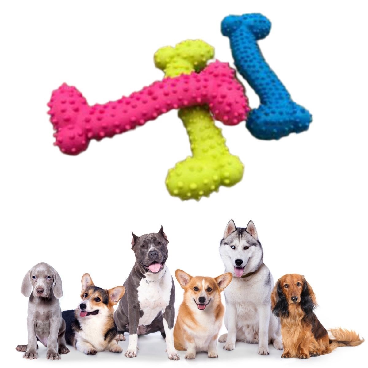 Tiny Kemik Oyuncağı Tırtıklı Yüzey Küçük Kemik Plastik Köpek Oyuncağı — Veyo
