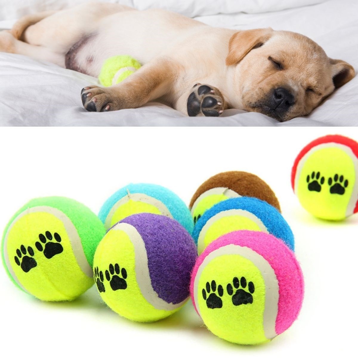 3lü Renkli Desenli Tenis Topu Kedi Köpek Oyuncağı — Veyo — görsel 5
