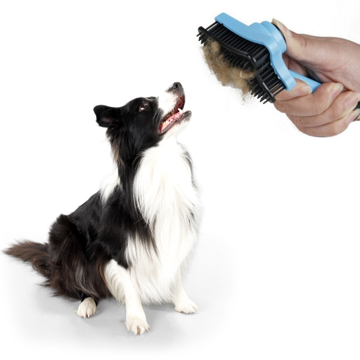 Evcil Hayvan Kedi Köpek Tüy Toplayıcı Otomatik Tuşlu Pet Tarak — Veyo — görsel 6