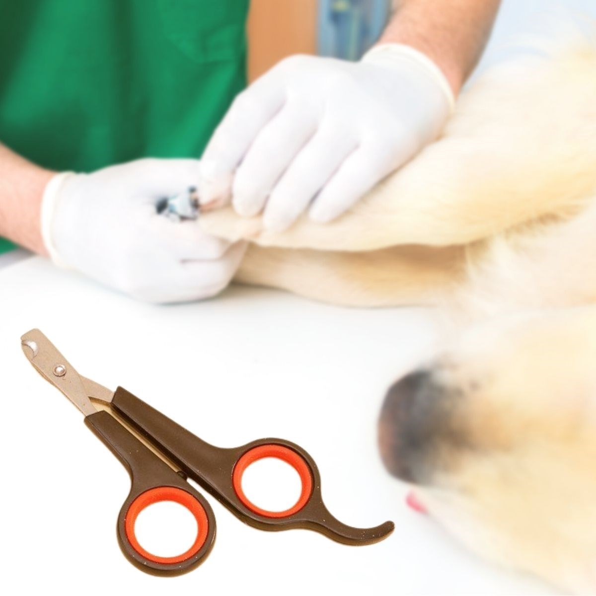 ANKAVERSE Kedi Köpek Tırnak Makası