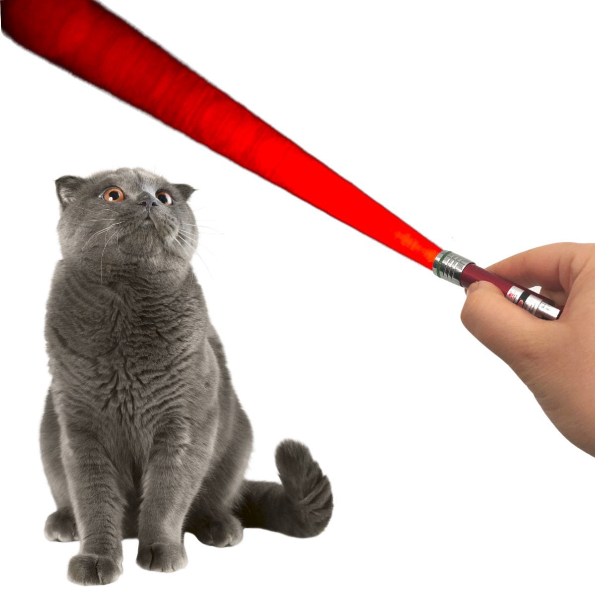 3 Fonksiyonlu Kırmızı Beyaz Işıklı Led Lazer Kedi Köpek Oyuncak Anahtarlık — Veyo — görsel 3
