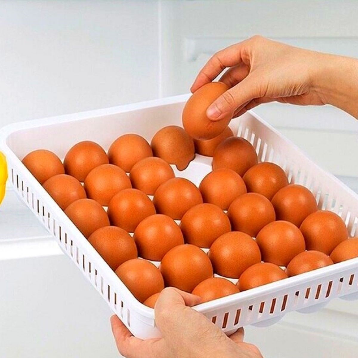 15liYumurta Saklama Kabı — Veyo — görsel 2