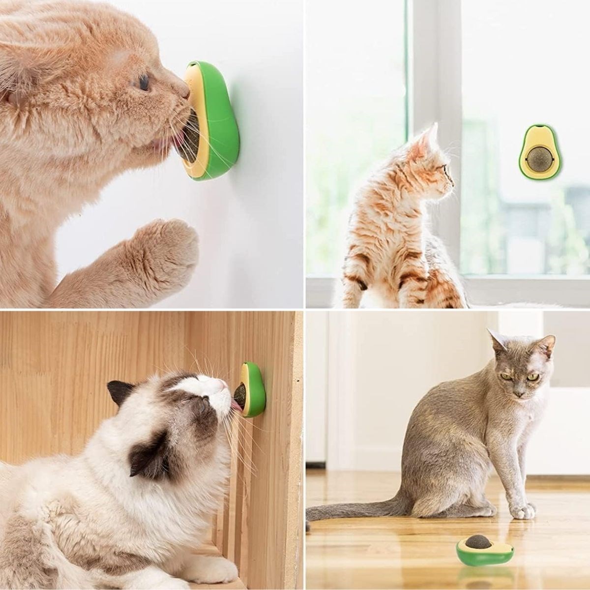 Avokado Model Yapışkanlı Kedi Oyuncağı Yenilebilir Kedi Nanesi Otu — Veyo — görsel 4