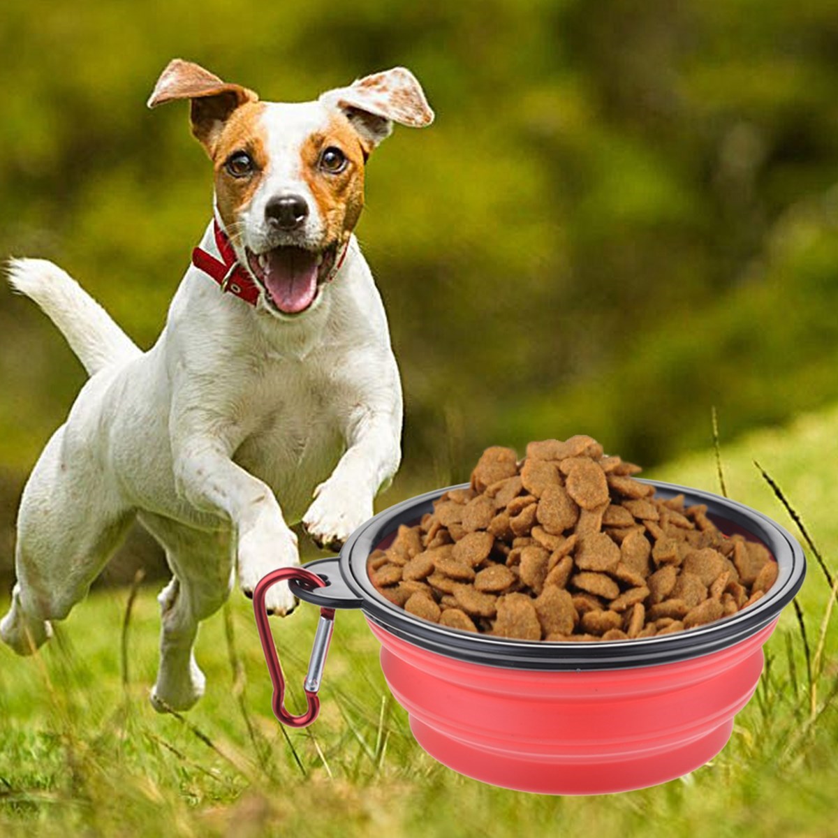 Katlanabilir Kedi Köpek Mama ve Su Kabı Köpek Oyuncağı — Veyo