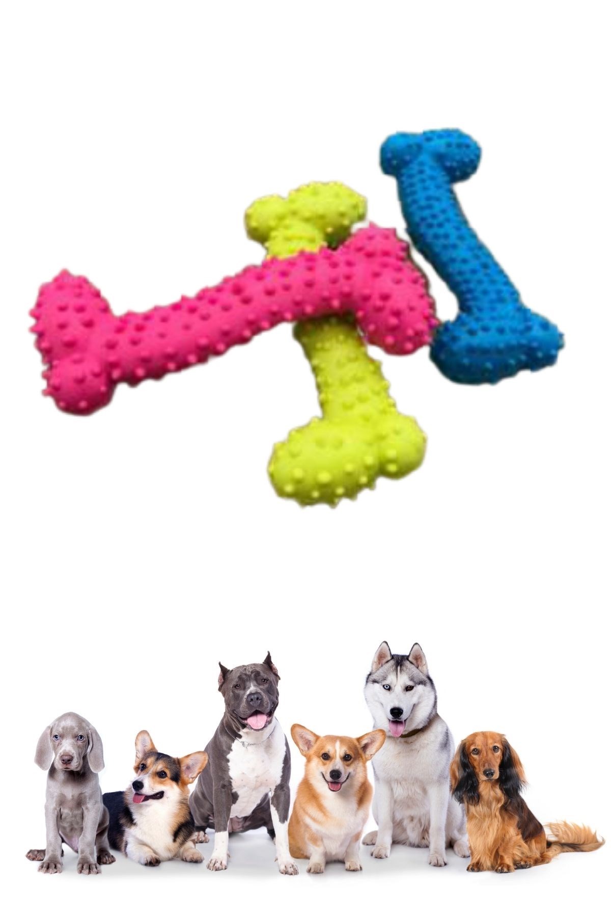 Tiny Kemik Oyuncağı Tırtıklı Yüzey Küçük Kemik Plastik Köpek Oyuncağı — Veyo — görsel 5