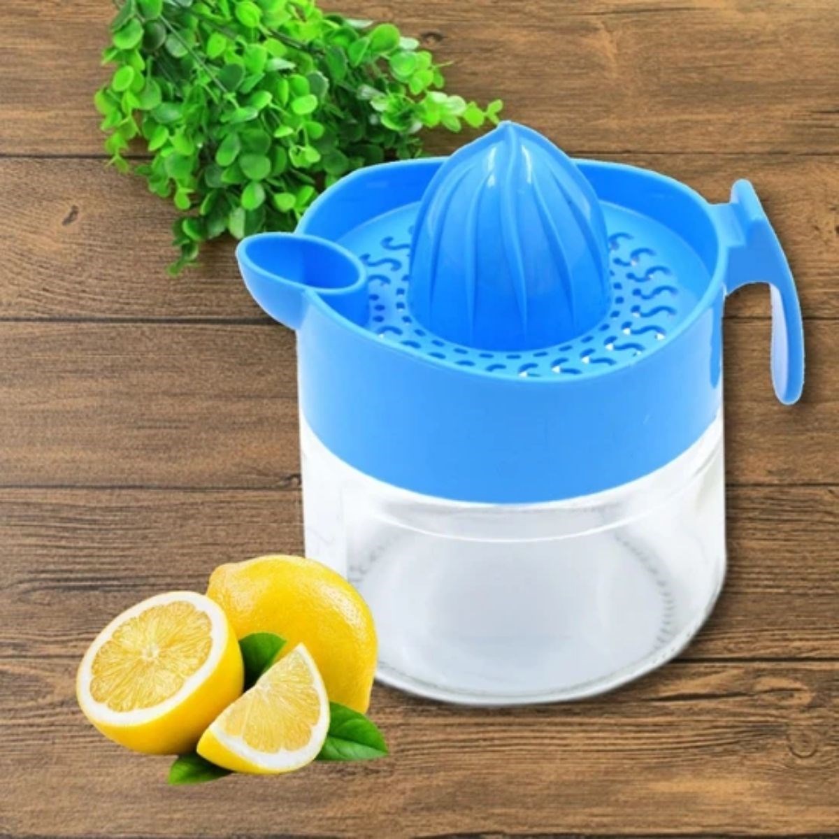 300ml Cam Hazneli Pratik Limon Narenciye Sıkacağı KC-405 — Veyo