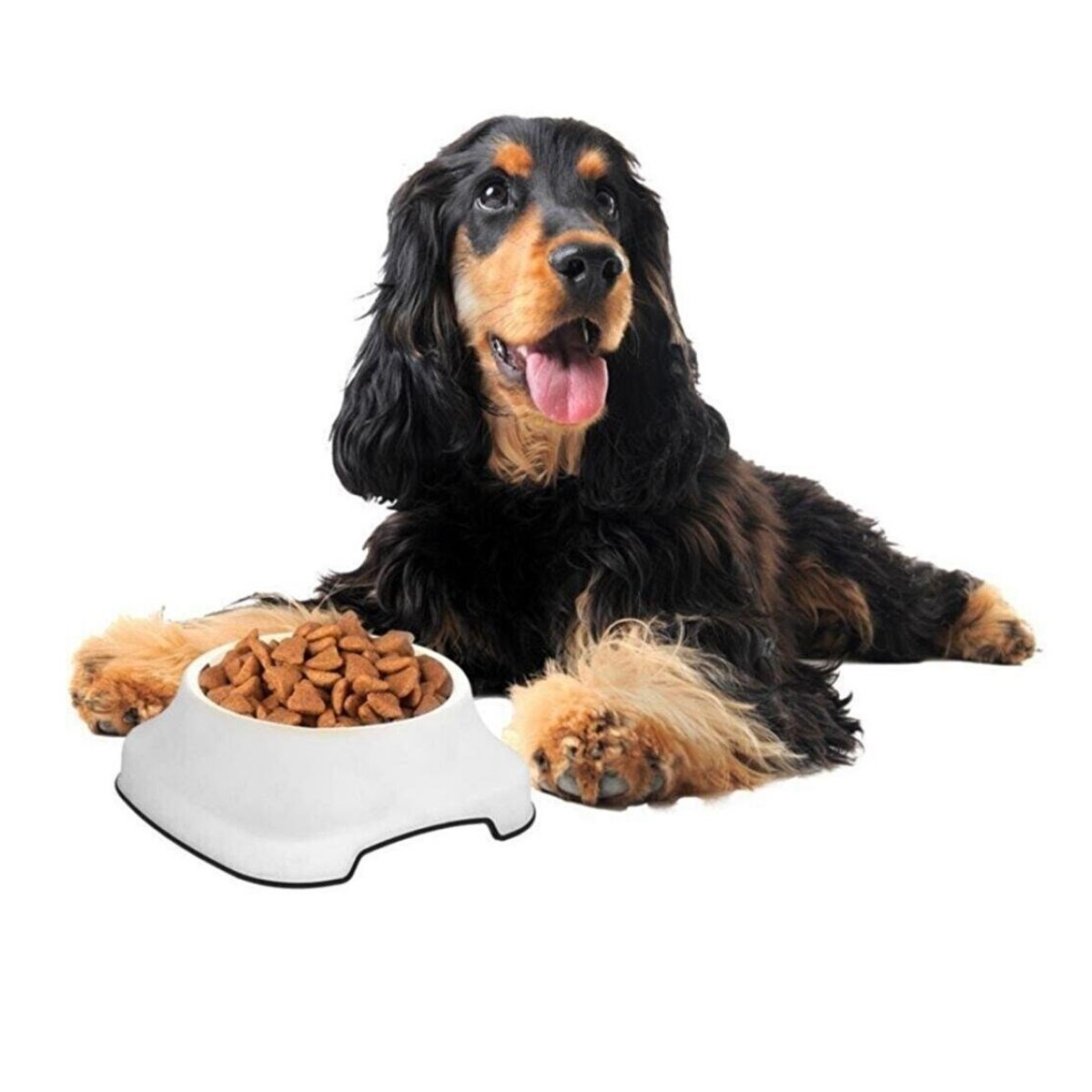 Silikon Kaydırmaz Taban Plastik Kedi ve Köpek Mama ve Su Kabı 2 L — Veyo — görsel 2