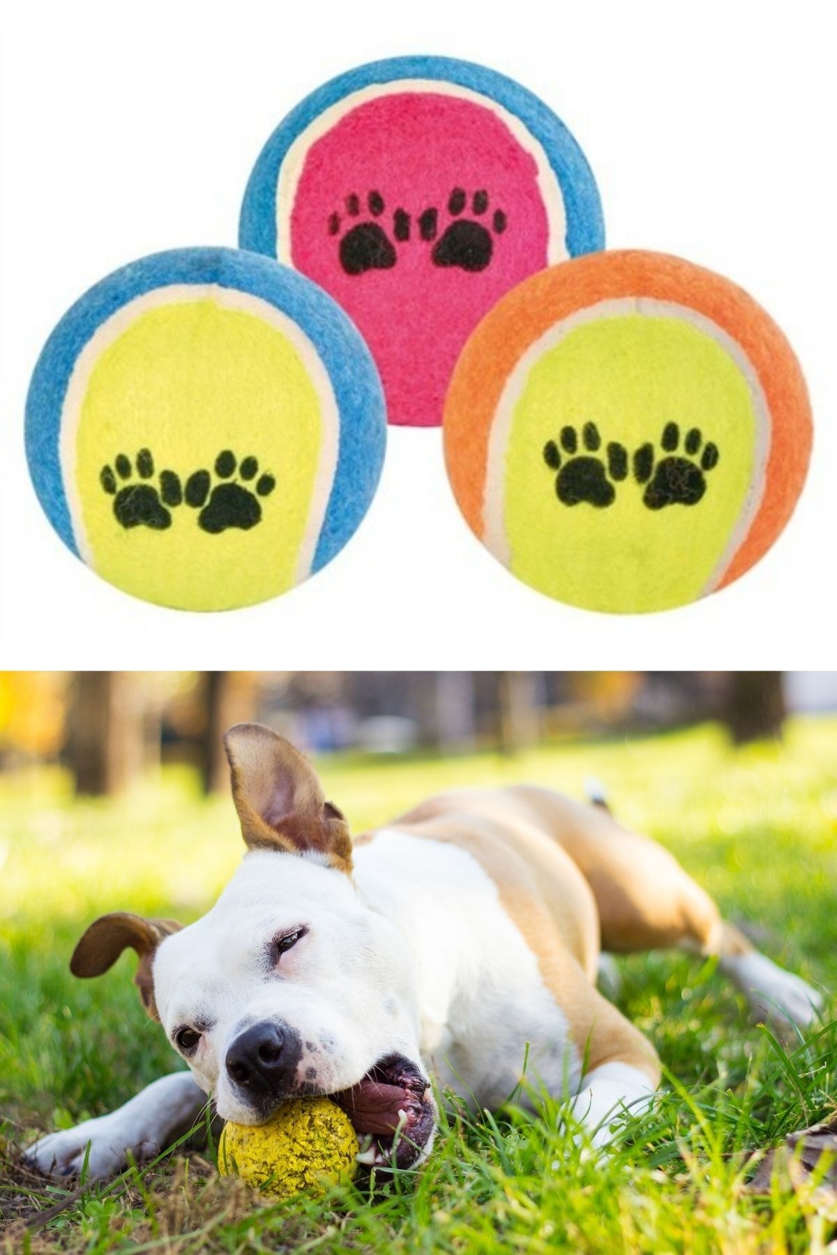 3lü Renkli Desenli Tenis Topu Kedi Köpek Oyuncağı — Veyo — görsel 8