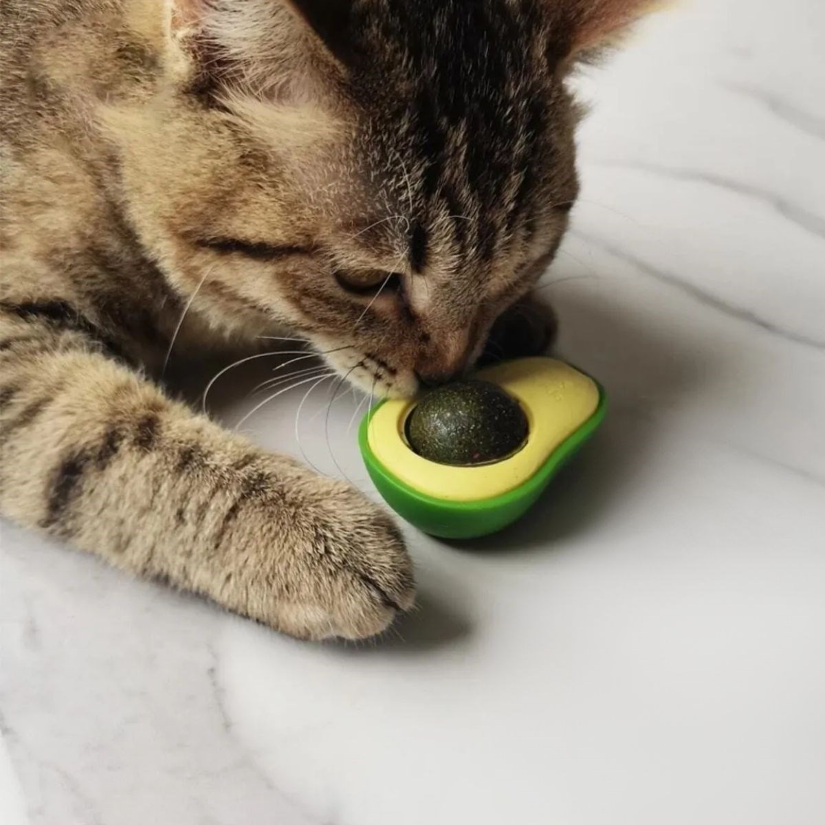 Avokado Model Yapışkanlı Kedi Oyuncağı Yenilebilir Kedi Nanesi Otu — Veyo — görsel 2